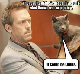 lupus-house-cat